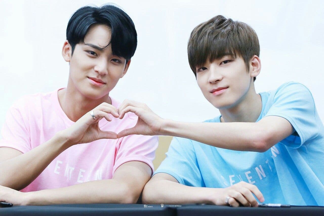 Wonwoo & Mingyu